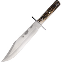 Bowie Stag