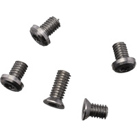 Arcade Screw Set Satin TI