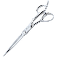 Professional Coiffeur Scissors